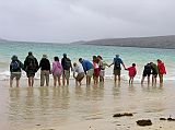 Galapagos 4-1-08 Floreana Punta Cormorant Seeing Rays On Flour Beach Johnny asked us to go a little bit into the water and hold hands silently. Sure enough, rays swam around our feet.